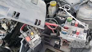 image_7