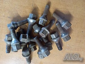 image_7