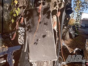 image_7