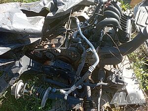 image_6