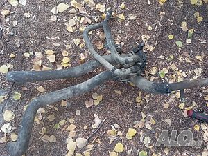 image_13