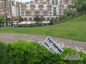 image_11