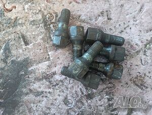 image_7