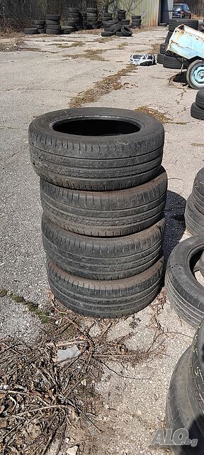 image_6