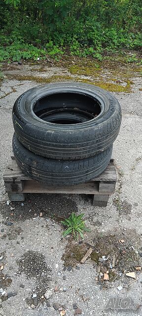 image_12