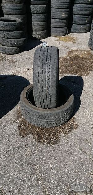 image_7