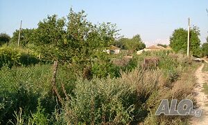 image_8