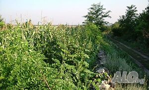 image_10