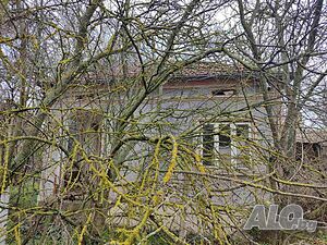 image_6