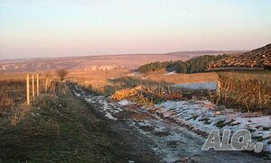 image_7
