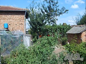 image_15
