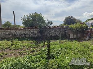 image_9