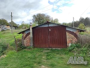 image_9