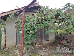 image_7