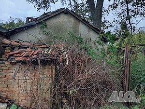 Лозе с постройка в Добрич