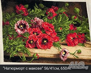 image_7