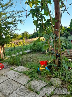 image_11