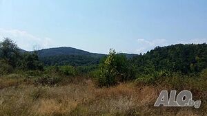 image_7