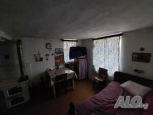 image_11