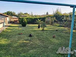image_11