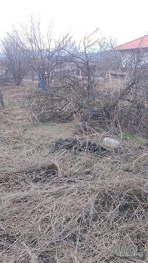 Парцел в регулация в с. Леденик