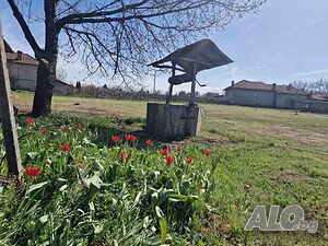 image_13