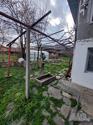 image_15