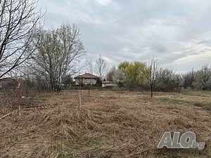image_11