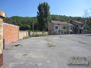 image_6