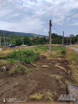 image_6