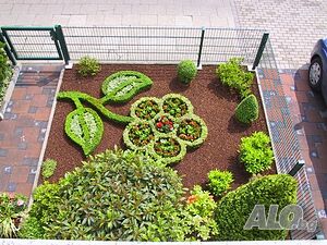 image_5