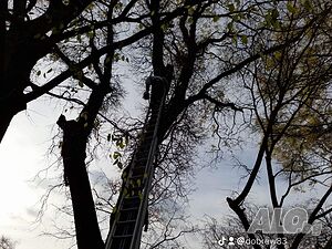 image_8