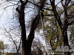 image_10
