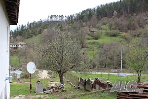 image_9