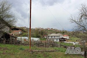 image_11