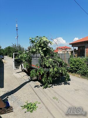 image_13
