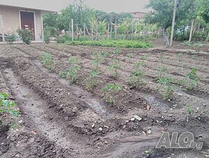 image_9