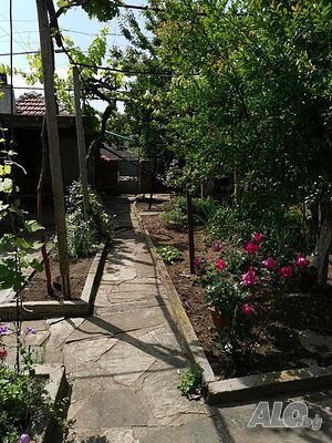 image_12