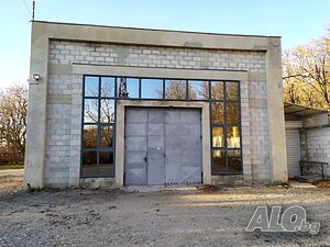image_6