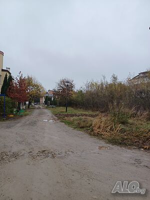 image_7