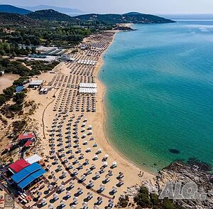 image_11