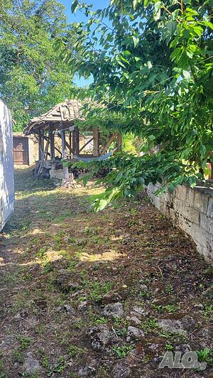 image_15