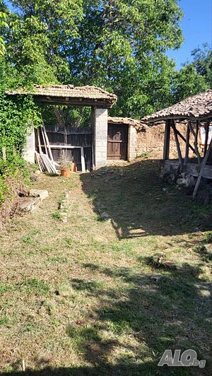 image_9