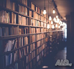 Професионална разработка на дипломни работи, магистърски тези, курсови работи и реферати.
