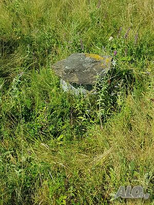 image_4