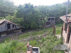 image_2