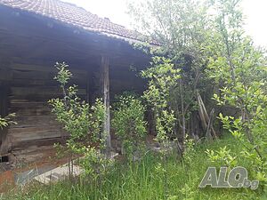 image_11