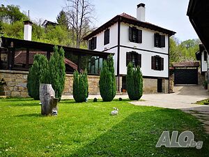 image_3