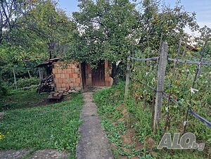image_3