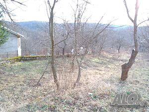 image_8